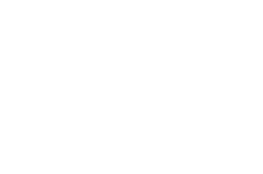 Footer disclaimer